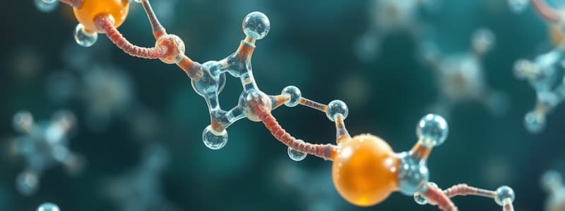 Carbohydrates and Their Classification