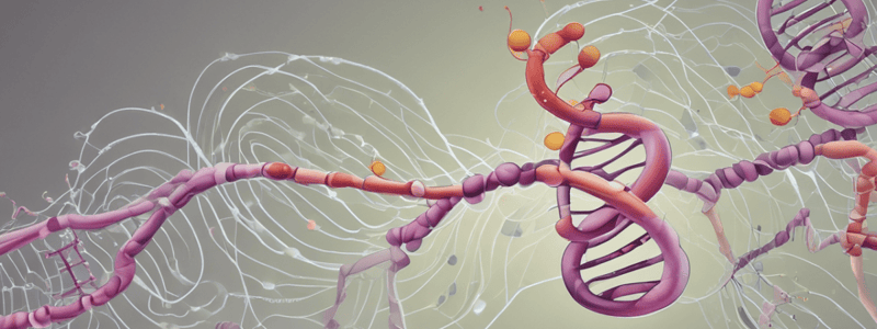 Initiation of Protein Synthesis