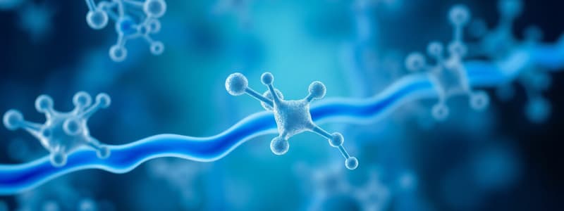 Biomolécules et leurs fonctions