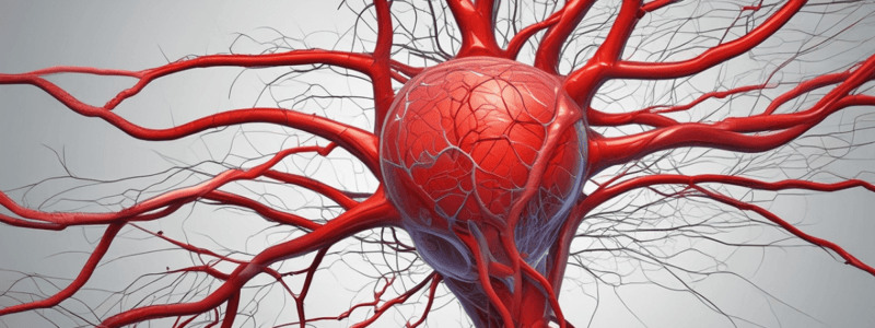 The Blood Flow Process in the Brain