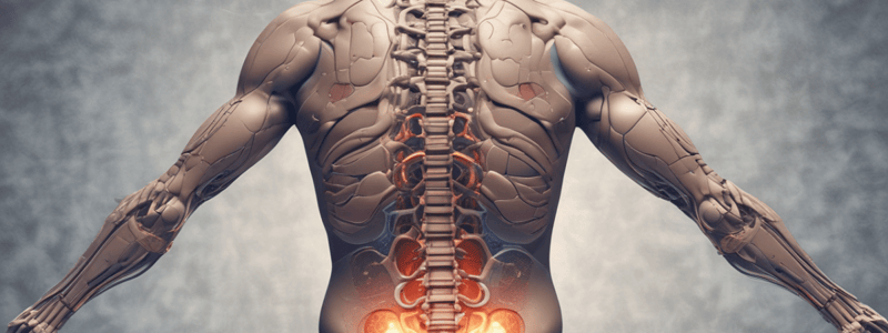 Spinal Shock and Spinal Cord Injuries Quiz