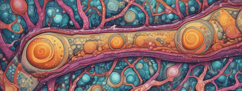 Active Transport in Cells