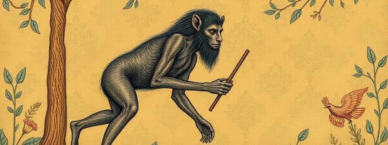 Hominin Evolution and Tool Use Quiz