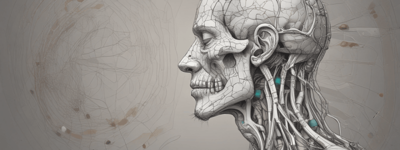 Pain Management: Introduction to Dorsal Root Ganglia and Gate Theory