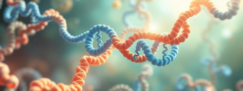 Protein Synthesis: L18