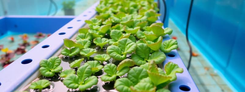 Aquaponics Systems Overview