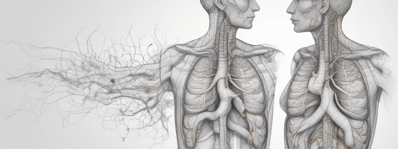 Cheyne-Stokes Breathing Pattern