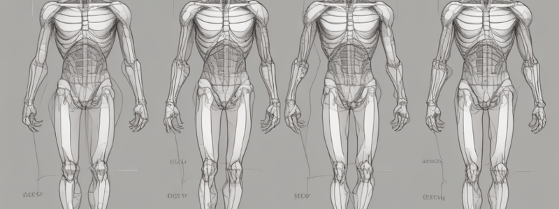 Directional Terms in Anatomy