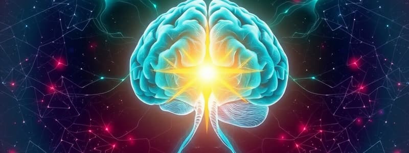 Hypothalamus and Pituitary Gland Overview