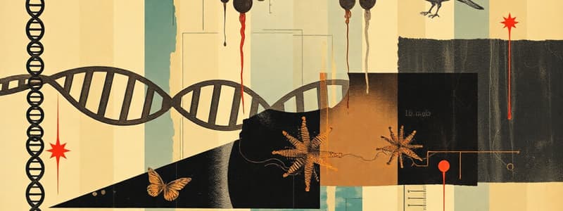 DNA Vectors and Restriction Enzymes Quiz  8