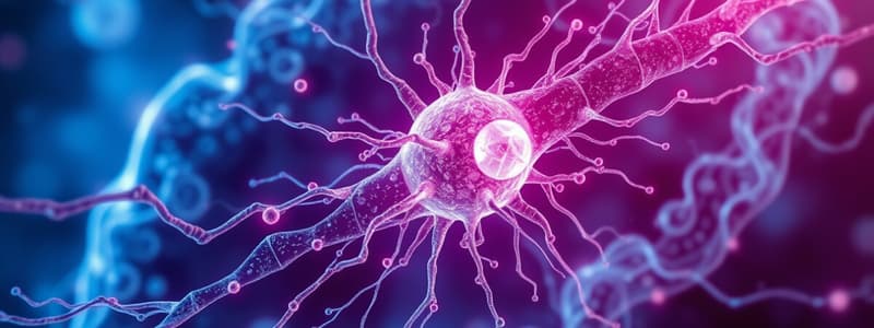 Cytoskeleton: Actin, Microtubules, Intermediate Filaments