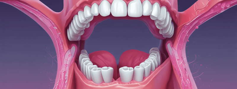 Dental Histopathology Quiz