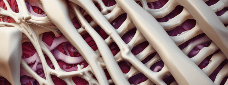 Lamellar and Compact Bone: Structure and Mechanics