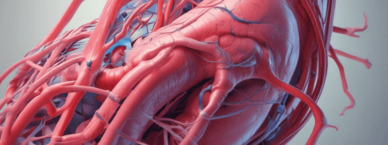 Vascular Diagnosis Chapter 64 Quiz