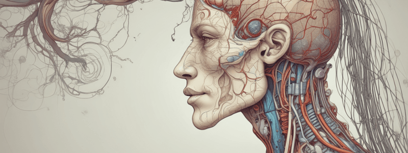 Autonomic Nervous System in Thoracic Organs