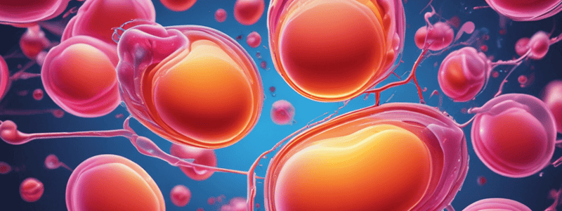 Lipid Panel Testing: Cholesterol Overview