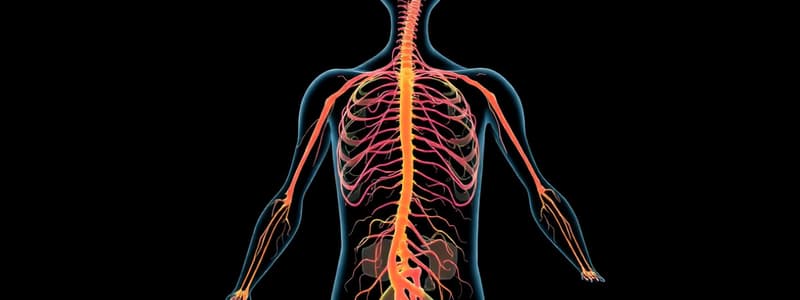 Autonomic Nervous System Case Studies