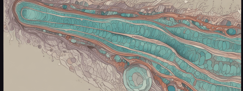 Biology Cilia Structure and Mechanism