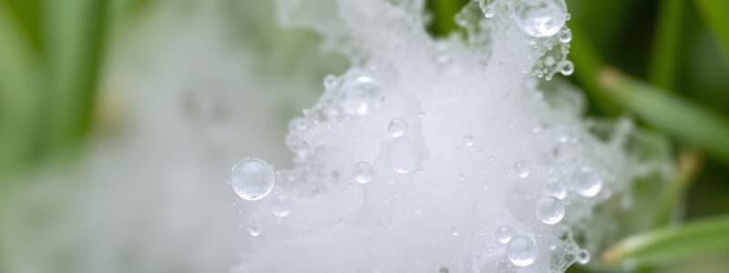 Dew Point and Cloud Formation