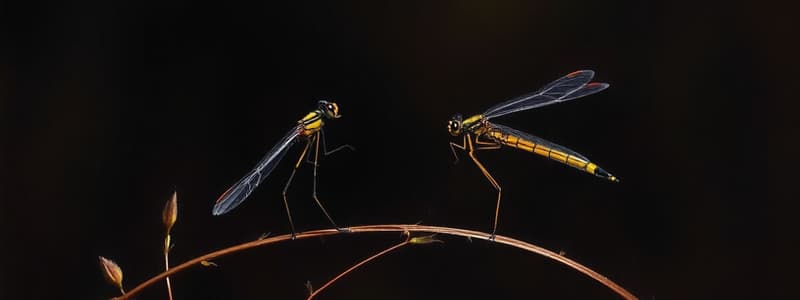 Biodiversità e Coenagrion: Quiz Specifico