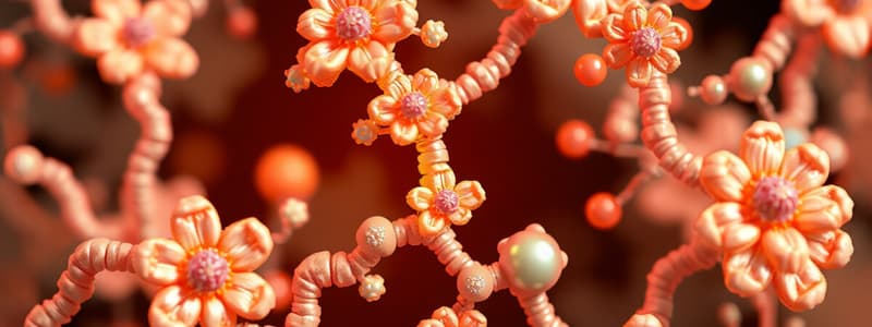 Enzymes Overview