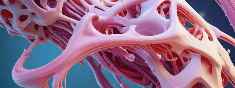 Classification of Joints and Periarticular Reinforcing Connective Tissue