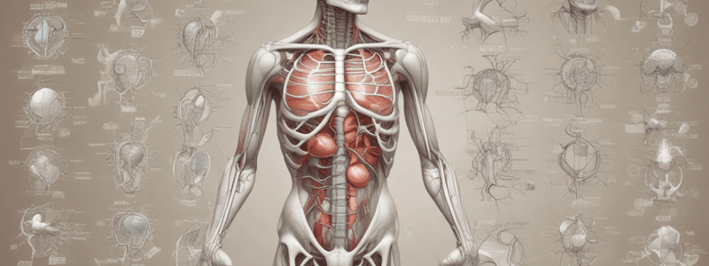 Anatomy and Physiology Fundamentals