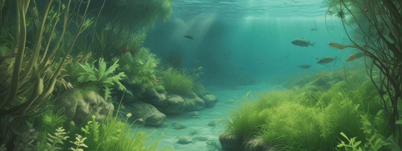 Posidonia Oceanica Meadow Ecosystems change new