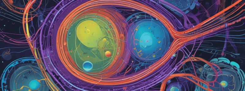 Cell Nucleus Components