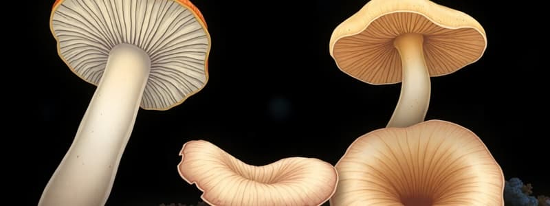 Fungi Morphology and Reproduction