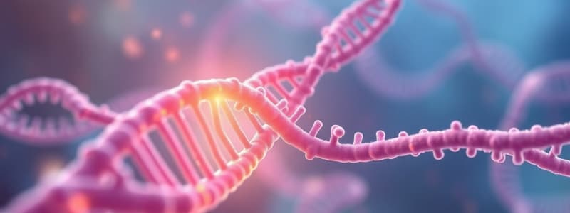 Molecular Biology: RNA Processing