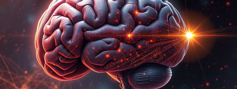 Overview of Subcortical Descending Tracks