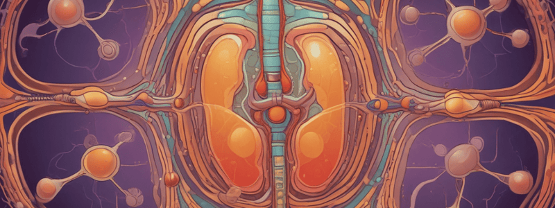 Renal Physiology Quiz