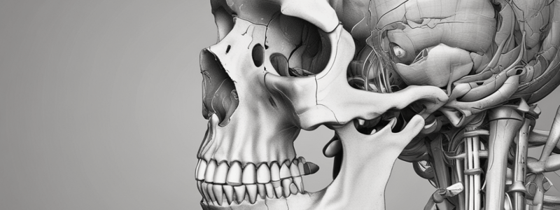 Bone Fractures