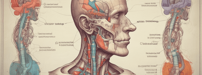 Medical Terminology: Suffixes Review