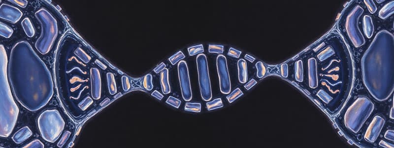 Cell Structure and Function