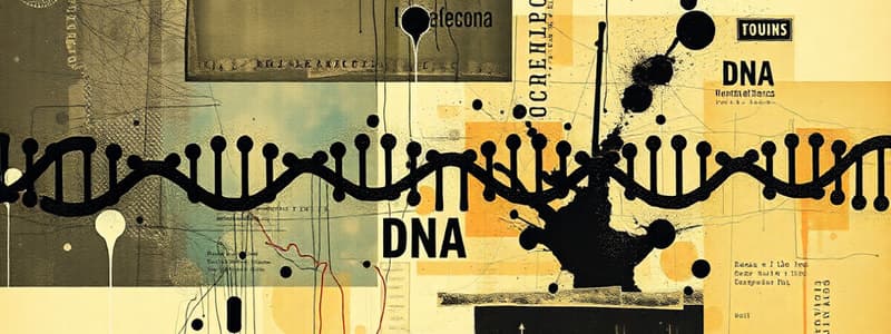 DNA Polymerization Free Energy Change