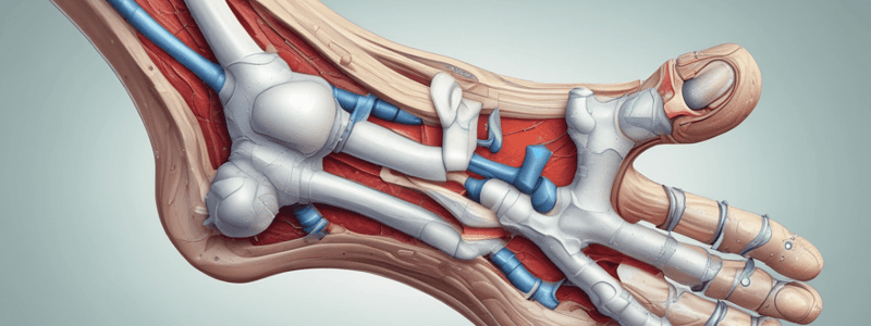 Orthopedic Pathology and Ankle Joint Capsule