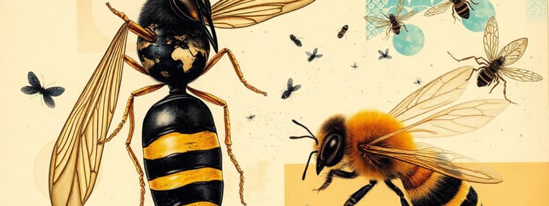 Wasp and Honeybee Social Systems