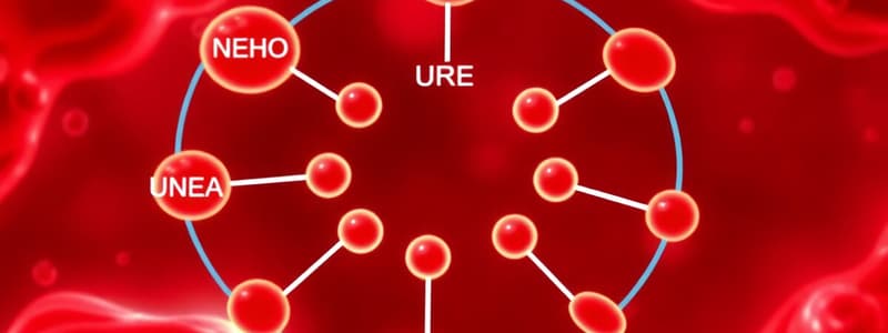 Ammonia Metabolism and Urea Cycle