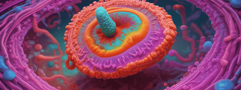 Paracoccidioidomicosis - Datos generales y microbiología