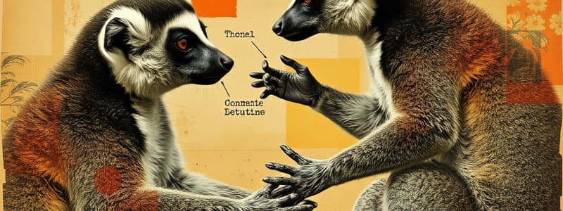 Lemur Communication and Mating Behaviors