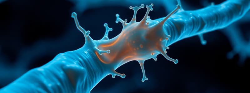 Neuroscience Chapter: Presynaptic Nerve Terminal