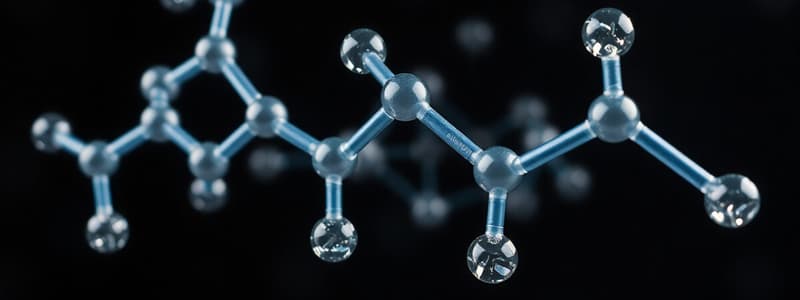 Carbohydrates and Biomolecules Overview