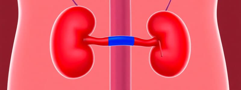 Renal Regulation of pH - MED 204