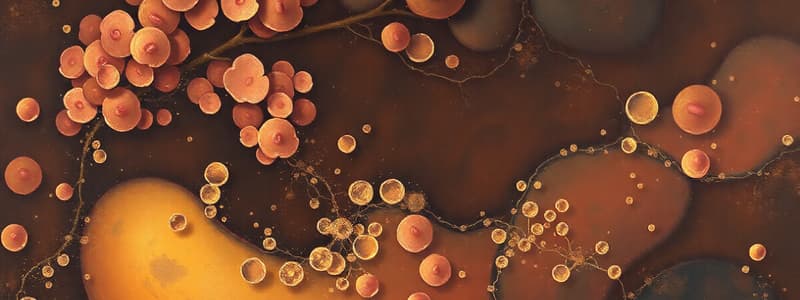 Triacylglycerol and Lipid Classification