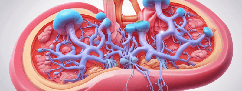 Kidney Structure and Function: Dr. Nicole Flemming