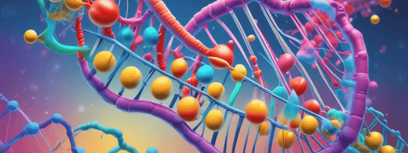 Nucleic Acids Structure and Function Quiz