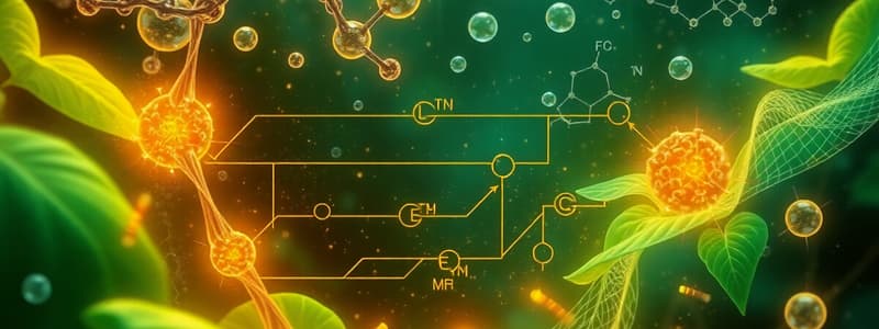 Secondary Metabolites and Shikimic Acid Pathway