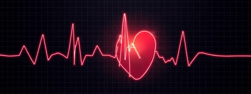 Electrocardiographic Interpretation of Cardiac Muscle and  Coronary Blood Flow Abnormalities